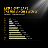 ZXREEK Canbus T10 12 3030 LED-Glühbirne 12 V-24 V Canbus 6000 K Innenkeil-Türleuchten (10 Stück)