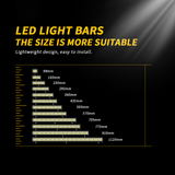 ZXREEK Canbus T10 12 3030 LED-Glühbirne 12 V-24 V Canbus 6000 K Innenkeil-Türleuchten (10 Stück)
