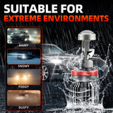 H4 H7 9005 9006 H11 LED Projector Headlight Bulb 6000K White 60W 8000LM High Low Beam with Clear Cut-Off Anti-Glare Design